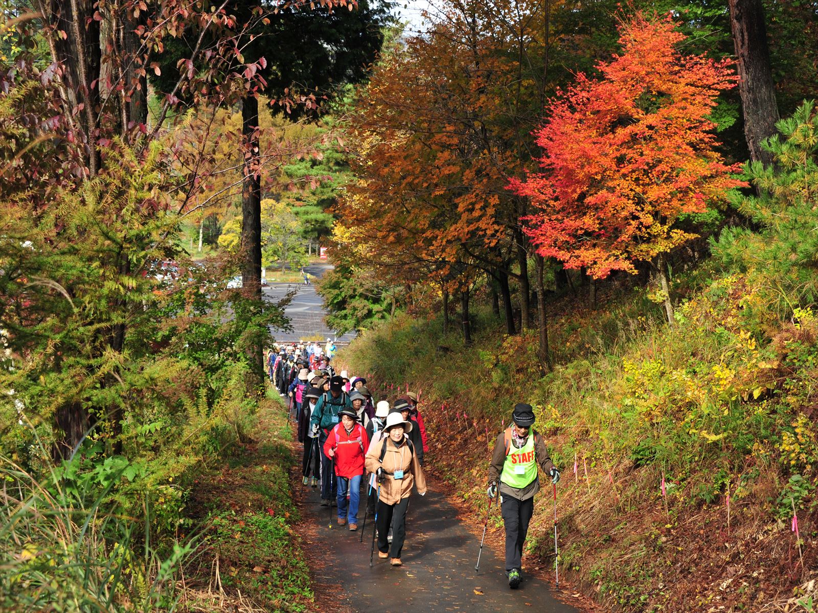 塩嶺王城県立公園日本土真ん中ウォーク