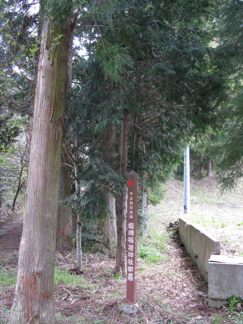 飯綱稲荷神社樹叢