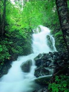 小曽部 白滝
