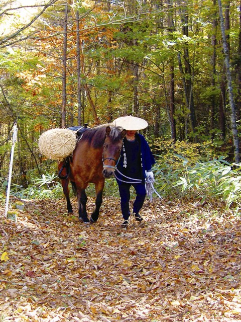権兵衛峠