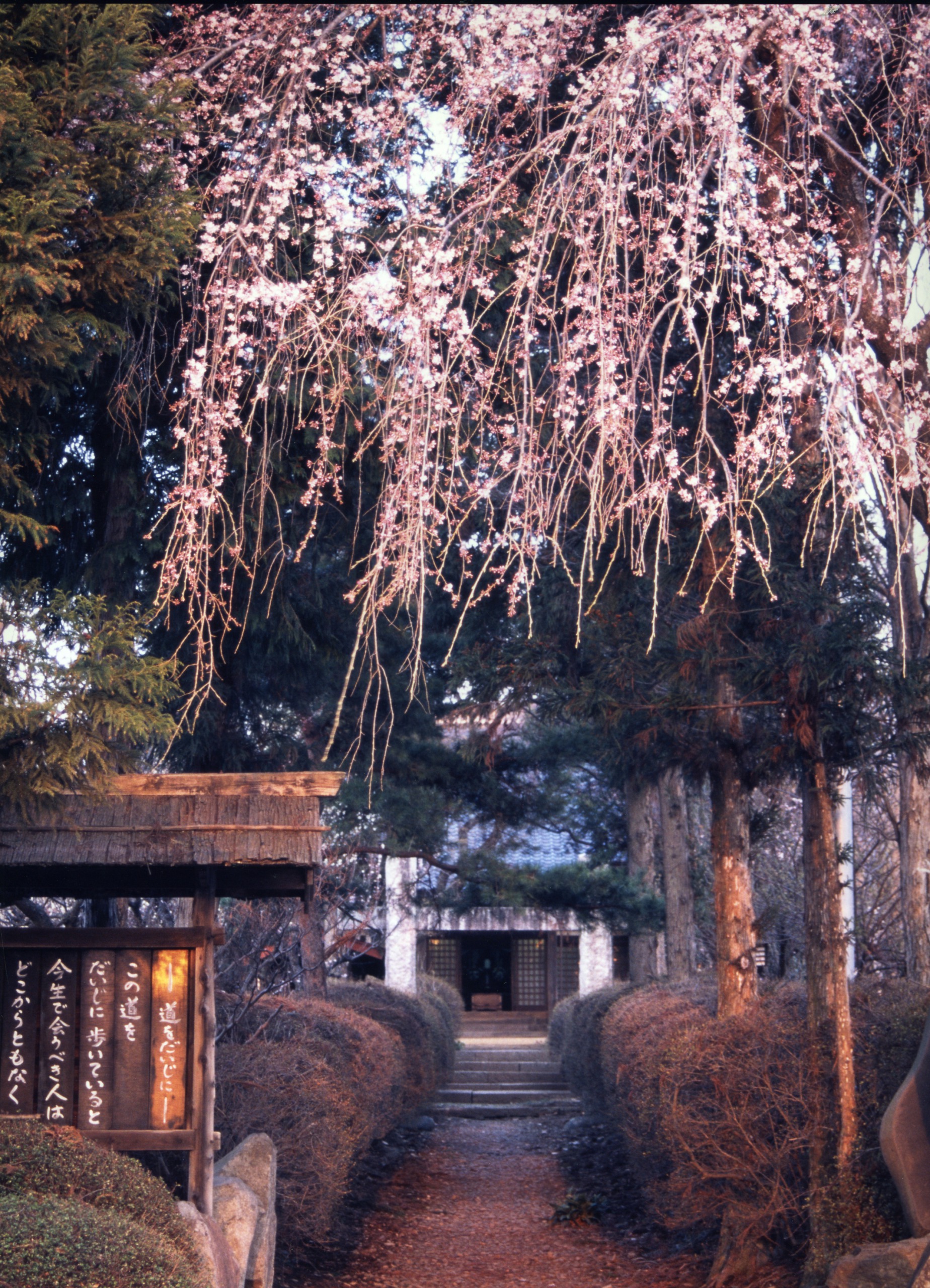 無量寺