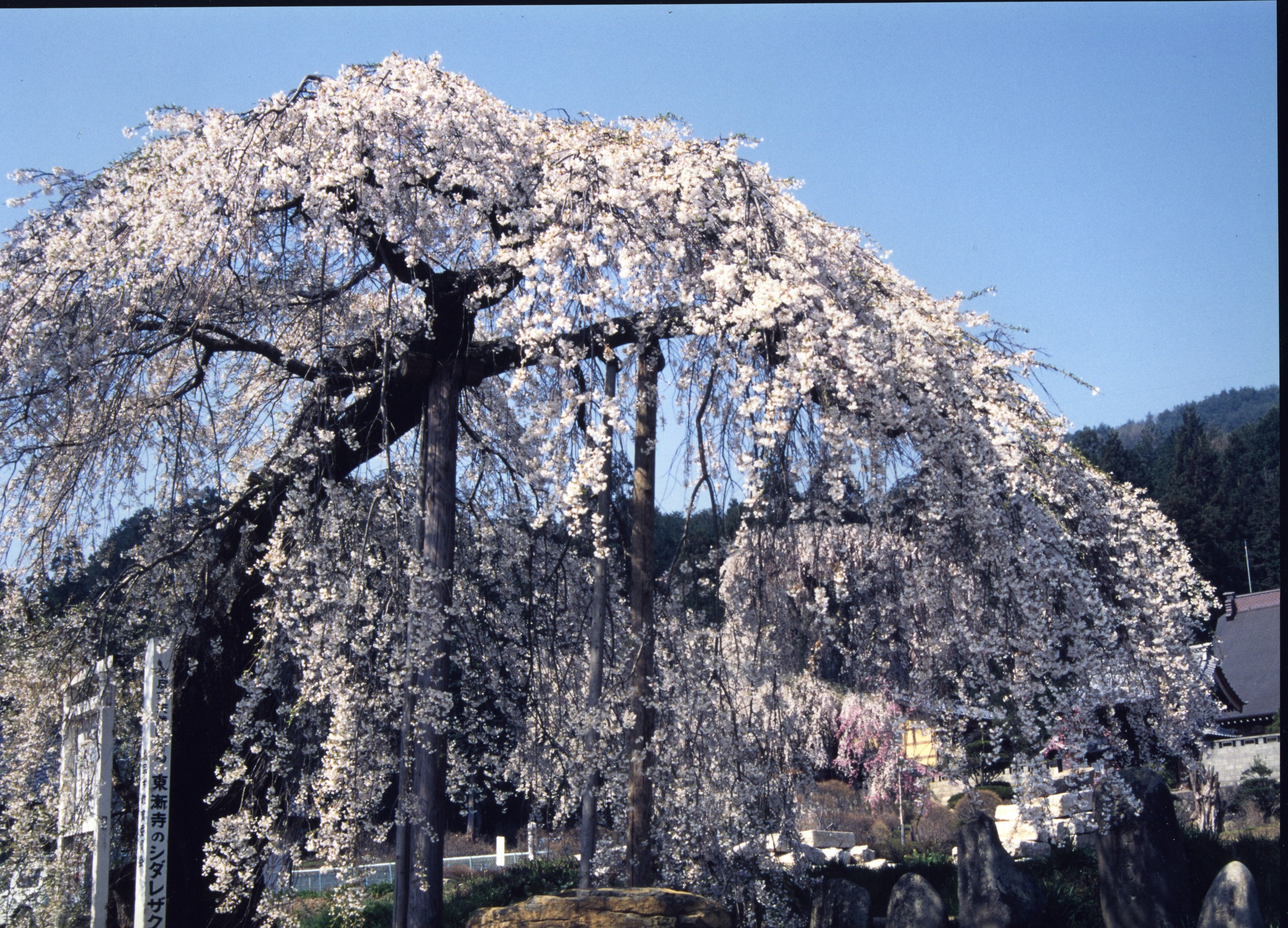 東漸寺