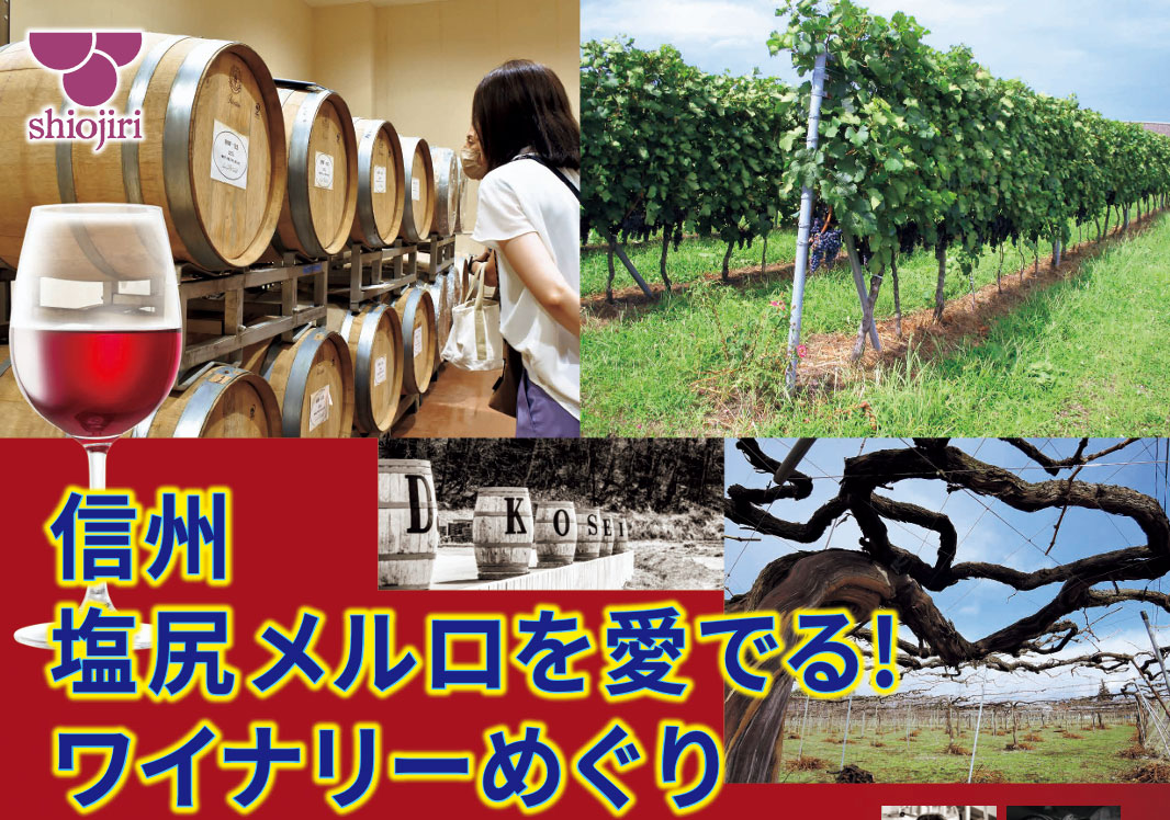 信州塩尻メルロを愛でる！ワイナリーめぐり